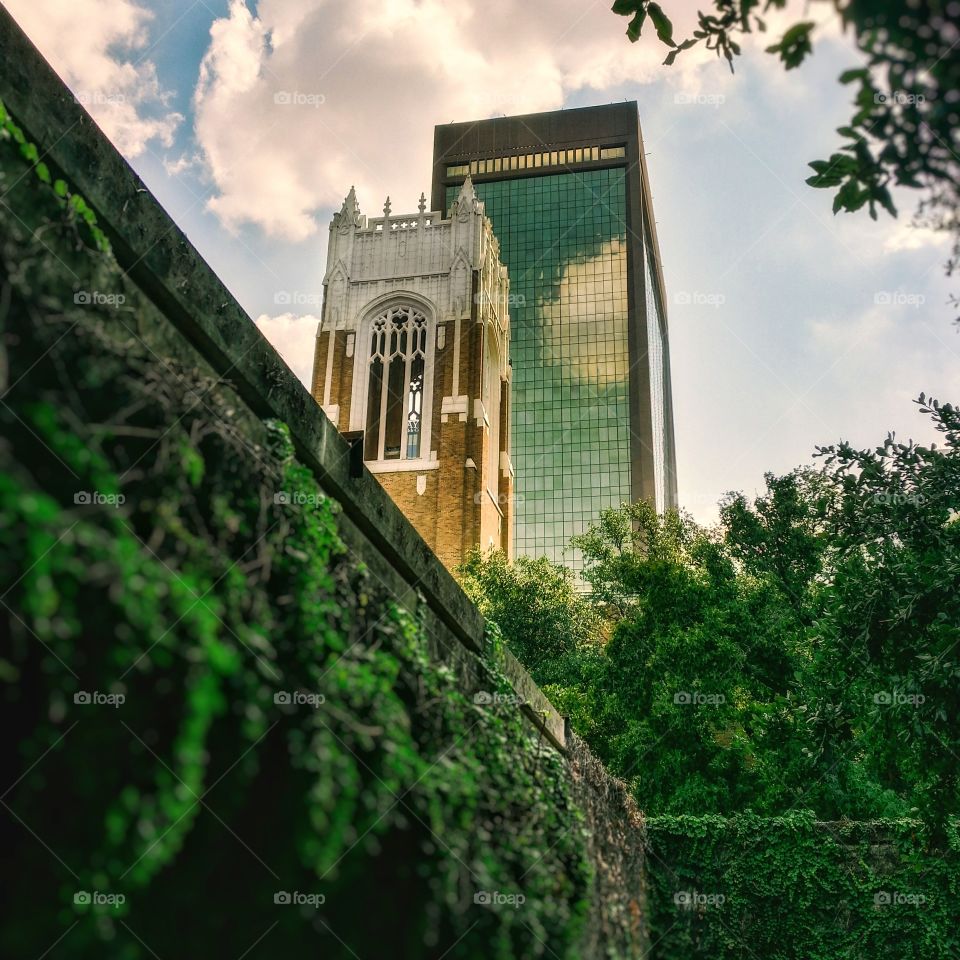 A church bell tower and a glass skyscraper tower over an ivy covered wall in one of the outdoor gardens at the Dallas Museum of Art Dallas Texas USA