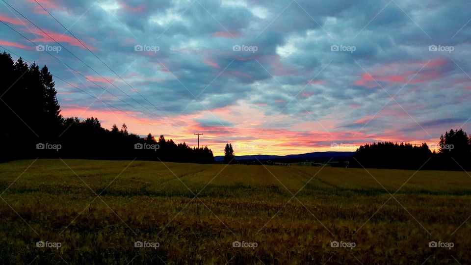 Landscape at sunrise