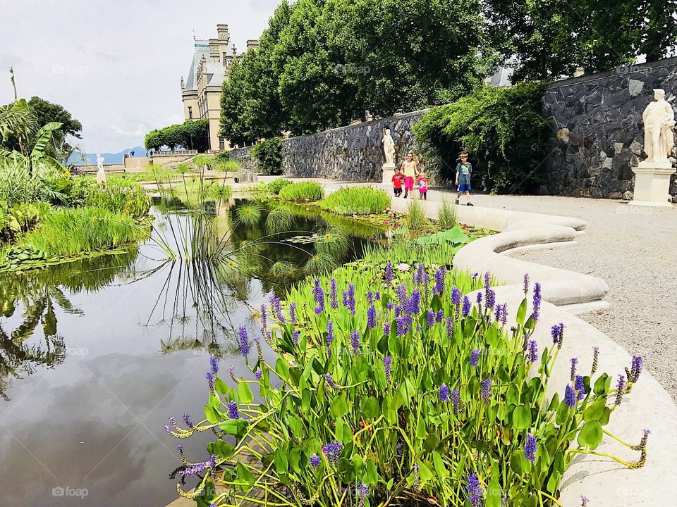 Reflecting pool behind castle gardens with blooming foliage and statues and lily pads 