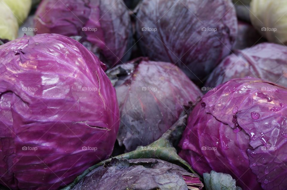 Purple cabbage . Farmers market