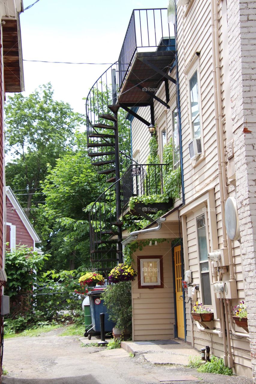 Urban plants in alley with stairway