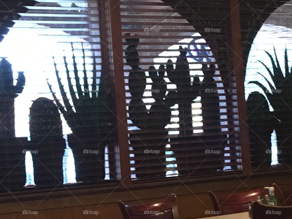 Painted cacti in the windows looks so real from afar. Indoors at our table,hungry.