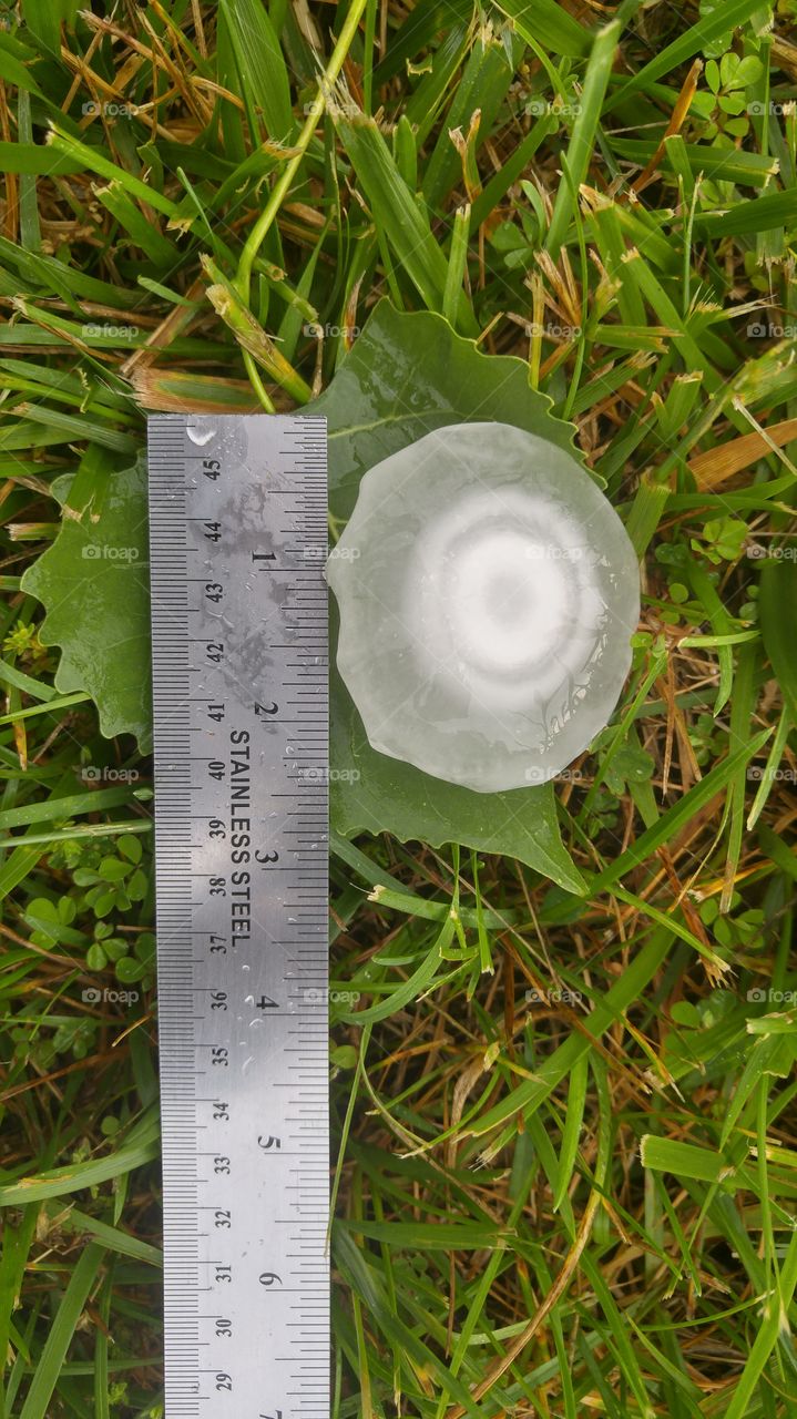 large hail stone that fell in may 2