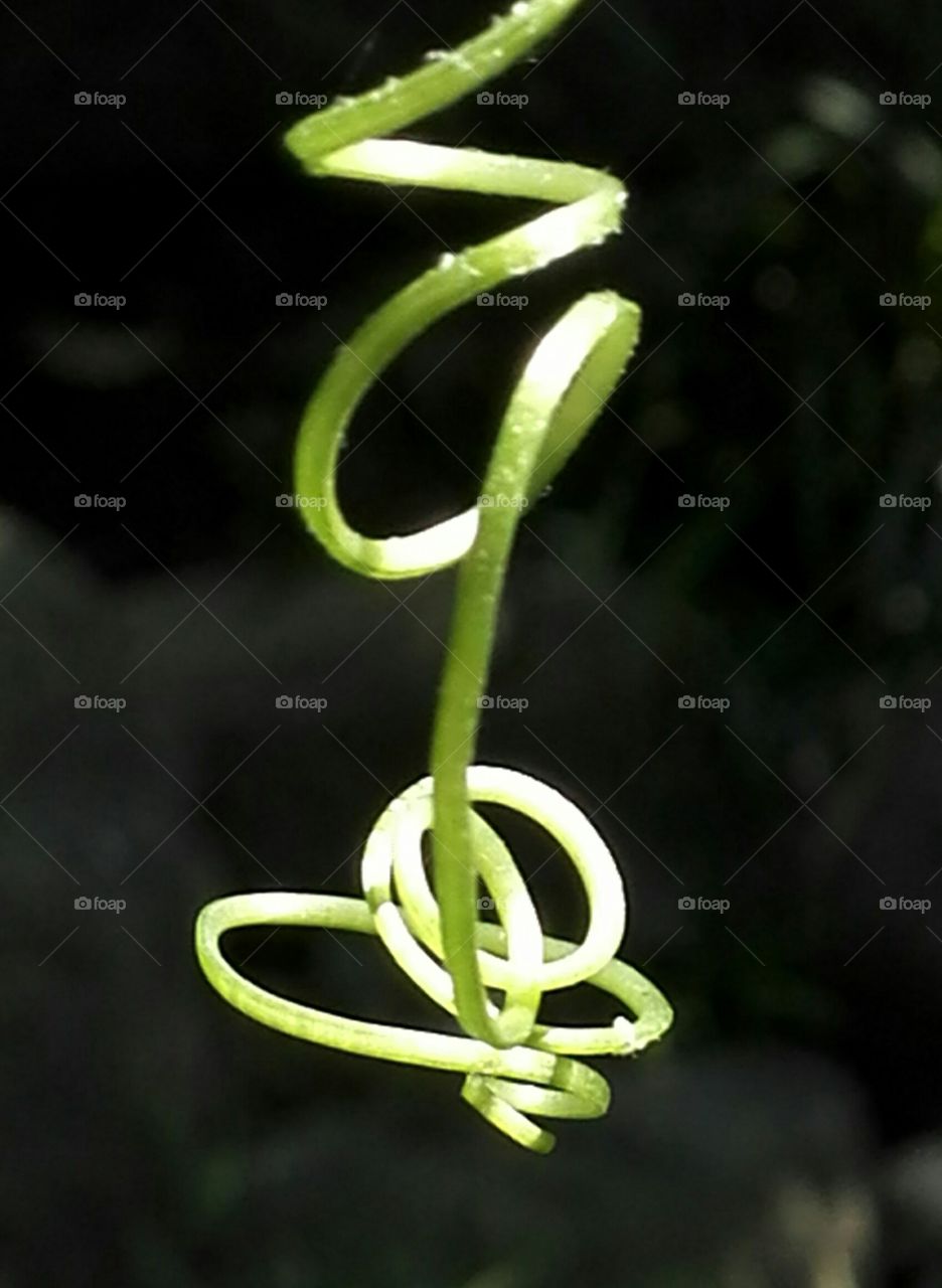 Dansing with the sunlight