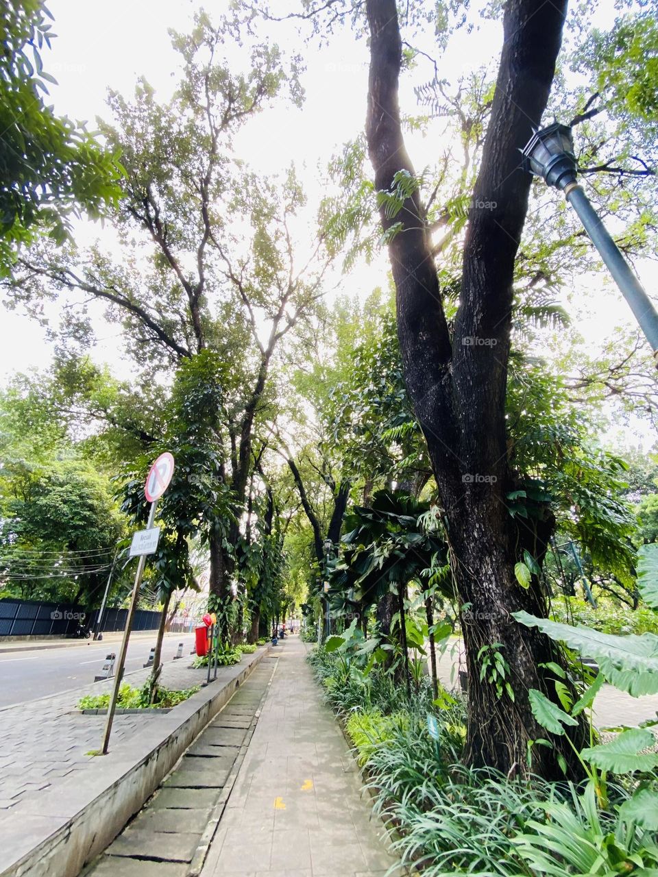 Suropati Park is one of the most interesting parks in the Menteng area of ​​Central Jakarta