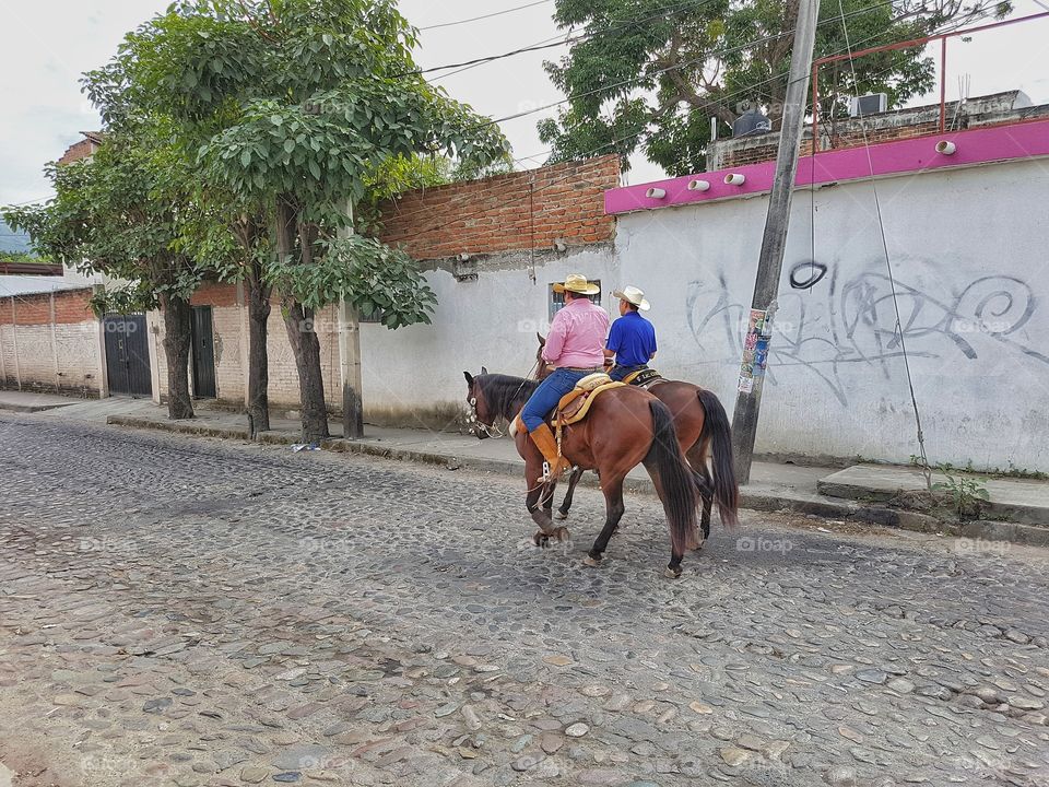 Out for a ride