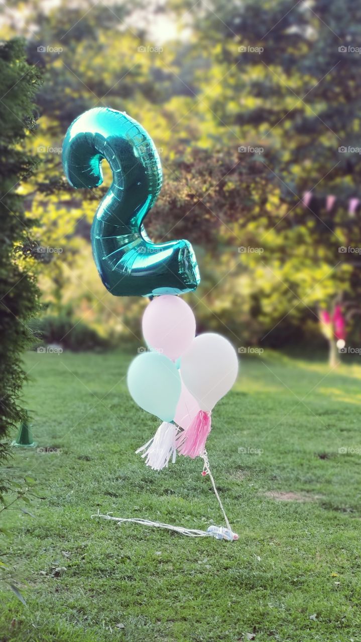 2year birthday party