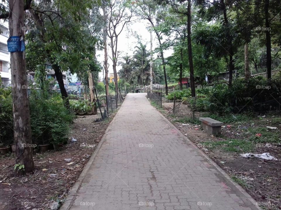 Park