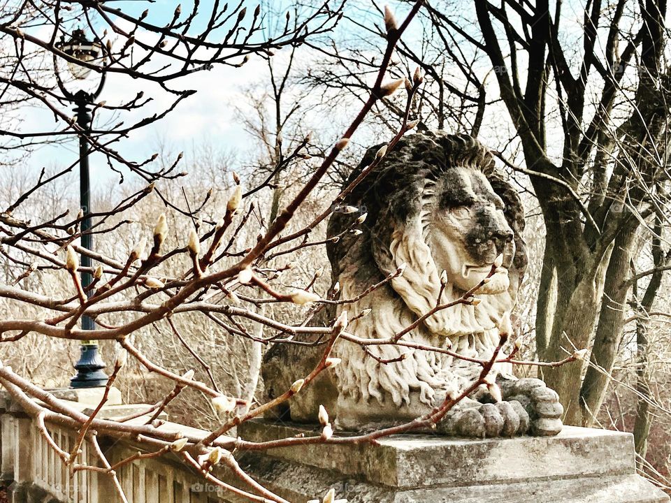 Budding trees are the first signs of spring in Lake Park located in Milwaukee, Wisconsin, USA. Along the shore of Lake Michigan.  The Harp-style street lights on the lamp post are a design element of the Milwaukee City scape. 