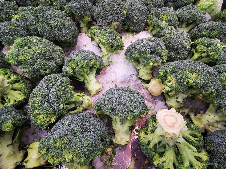 Broccoli background image