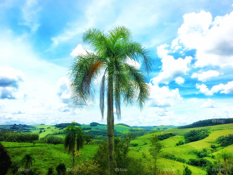 Natureza 