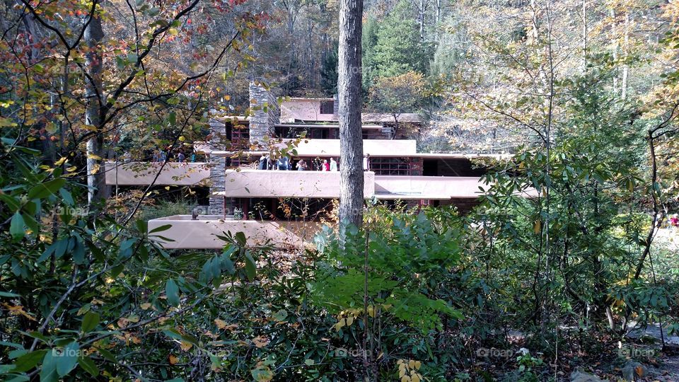 Fallingwater