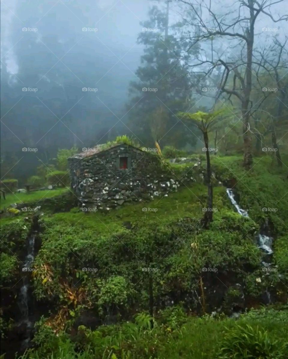Glory be to God, the magnificent and picturesque view and the natural green trees are a view that is nothing more wonderful than it