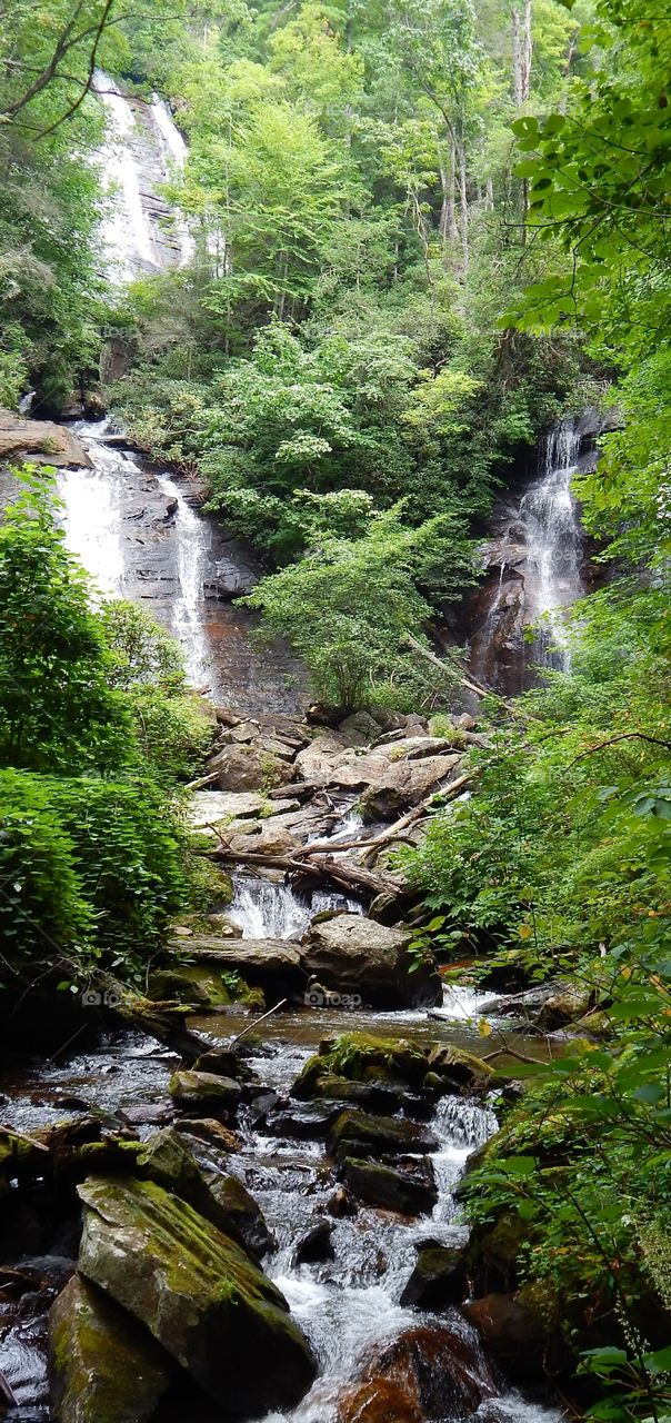 Beautiful Anna Ruby falls with vibrant green foliage