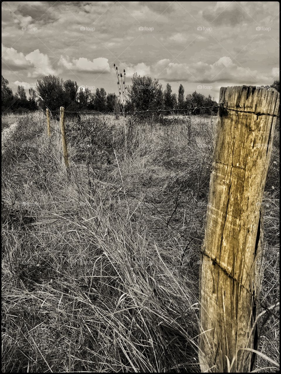 A fence