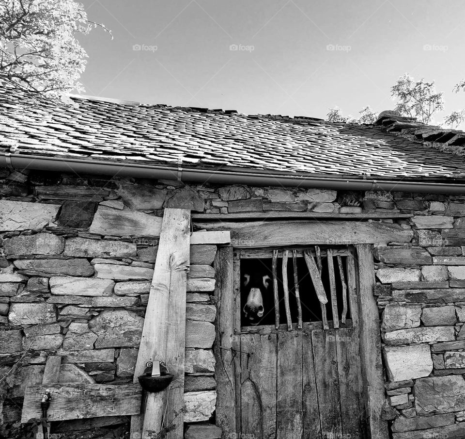 Carracedo de Compludo