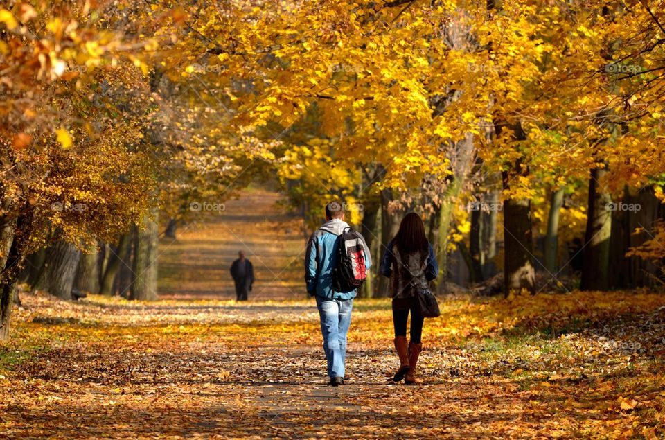 Couple in autumn park