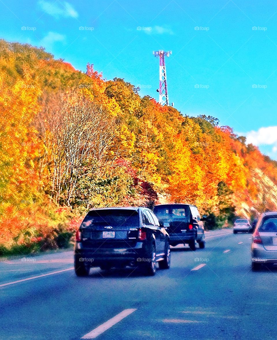Highway in Autumn