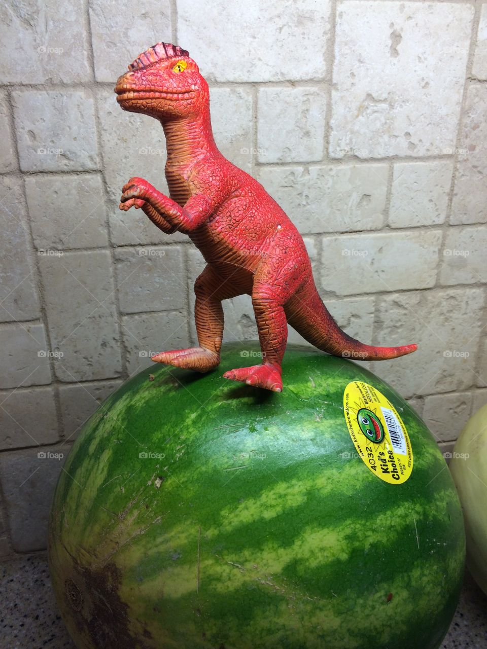 Dino on a melon