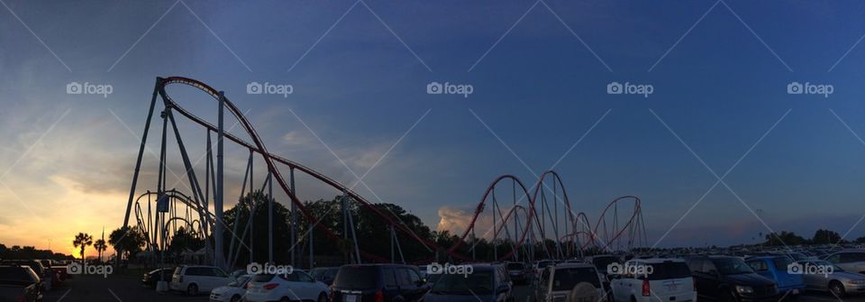 Roller Coaster  