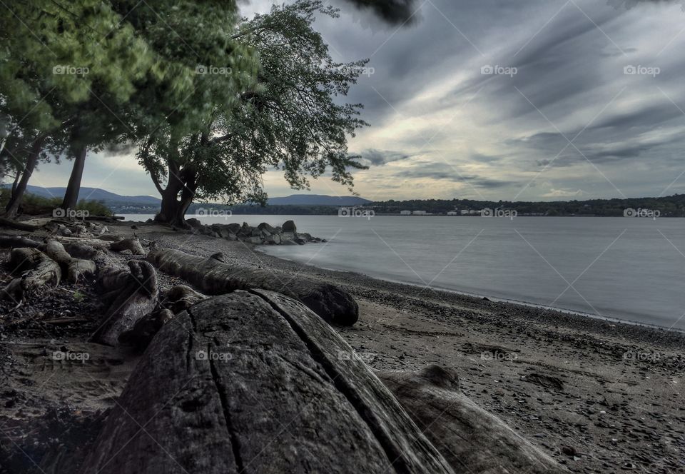 Driftwood on beach