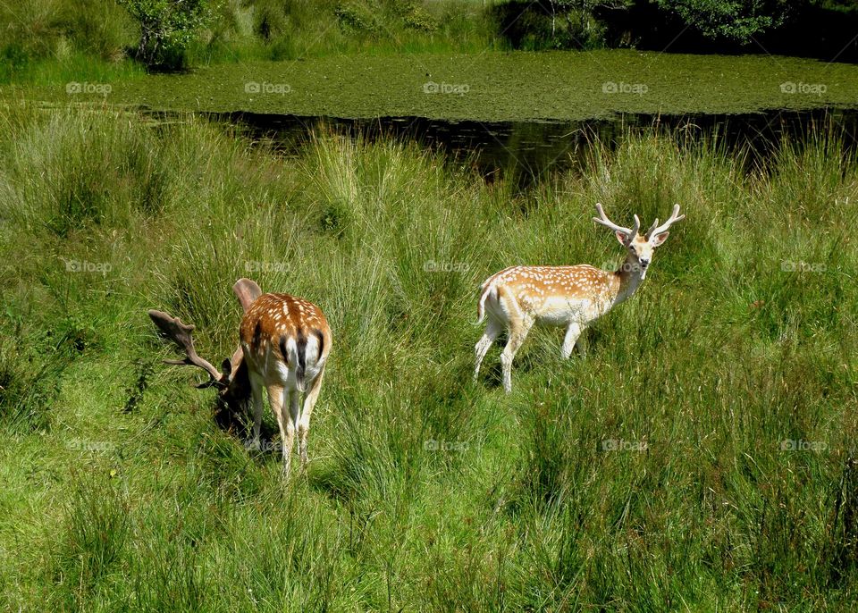 Break near the lake :)