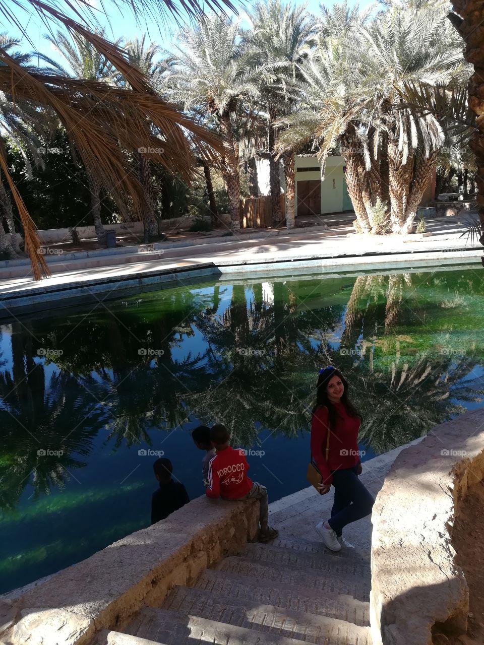 seing double of a magical view of the palms