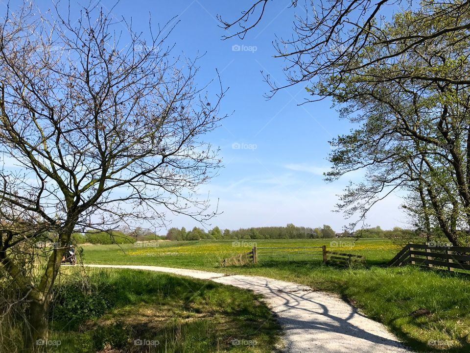 Landscape early spring
