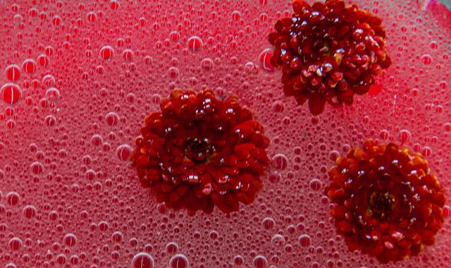 liquids arecool