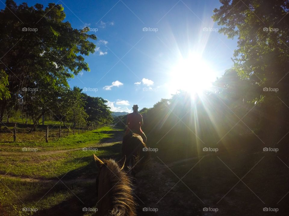 Horseback riding in Jamaica 