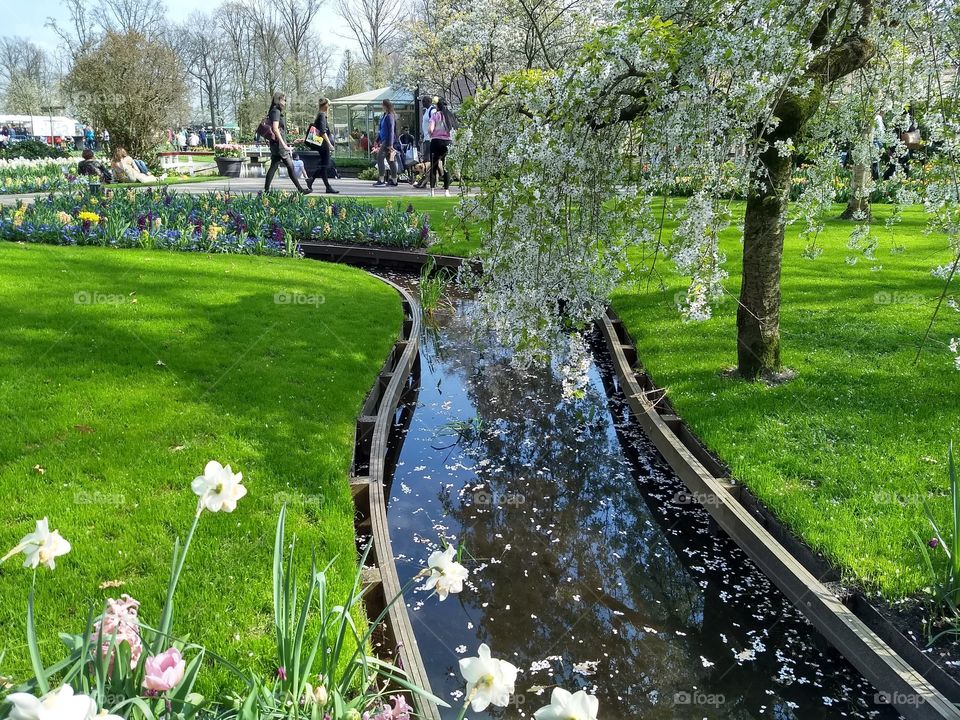 keukenhof