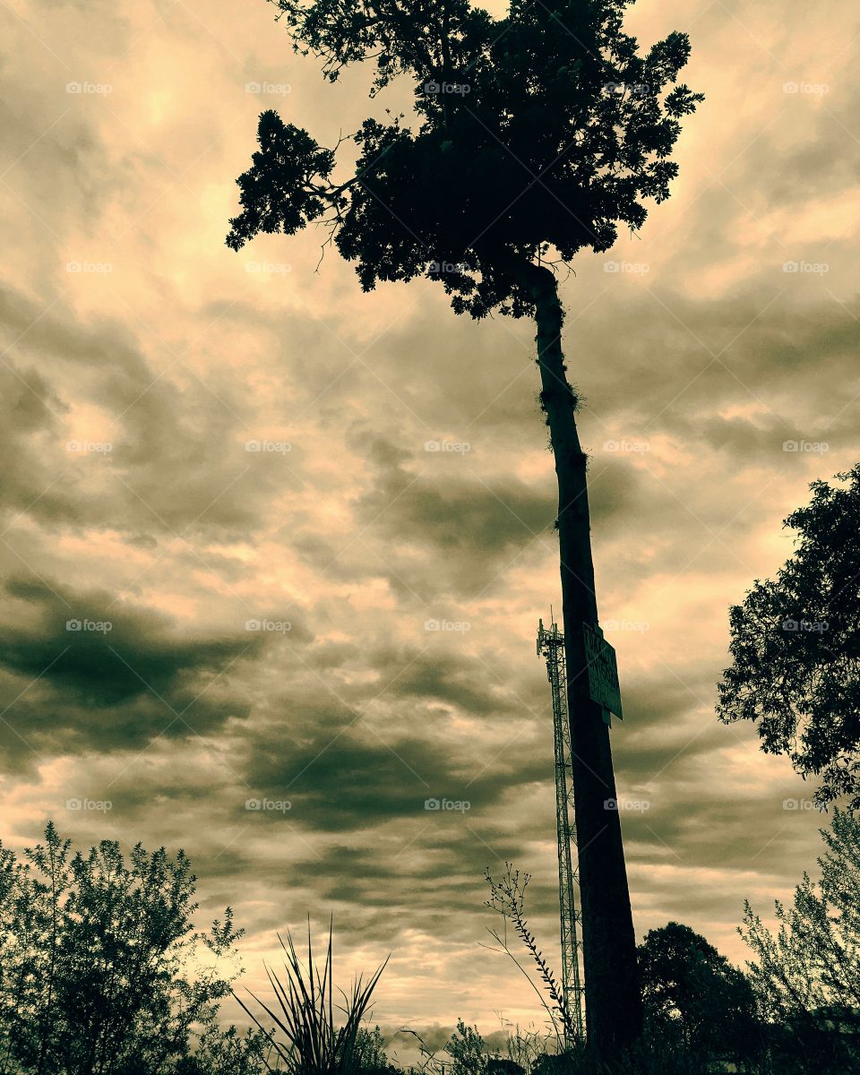 07h30, com #nuvens escuras e #céu amarelado pelo #sol que teima mas não consegue se firmar. 
Ótimo #domingo a todos. 
☁️
#natureza 
#fotografia 
#morning
#paisagem 