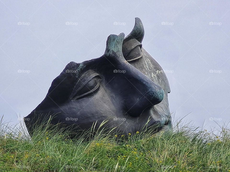 Face in the dunes as if he's dreaming in the beautiful nature.Great to see this in the dunes of Scheveningen.