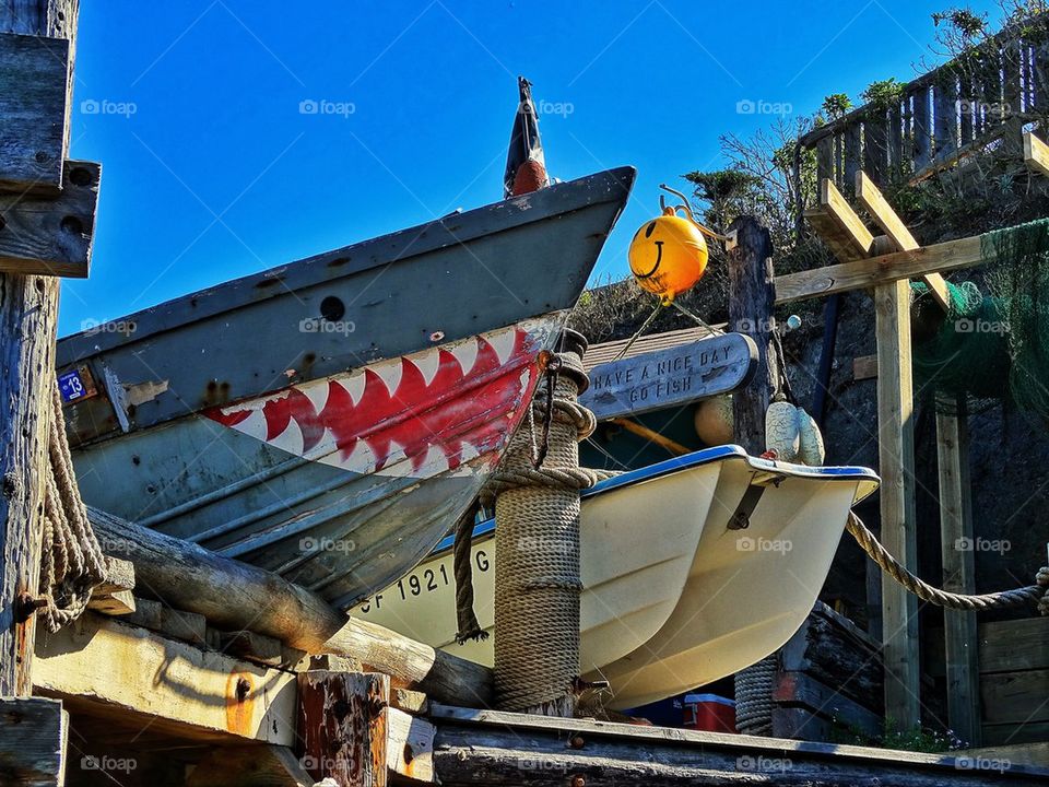 Boats for hire at a dock