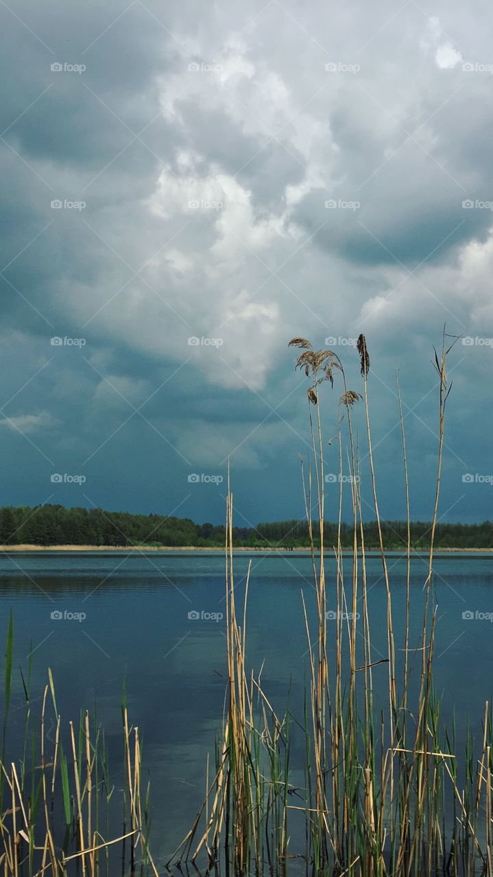 Calming river and nature 