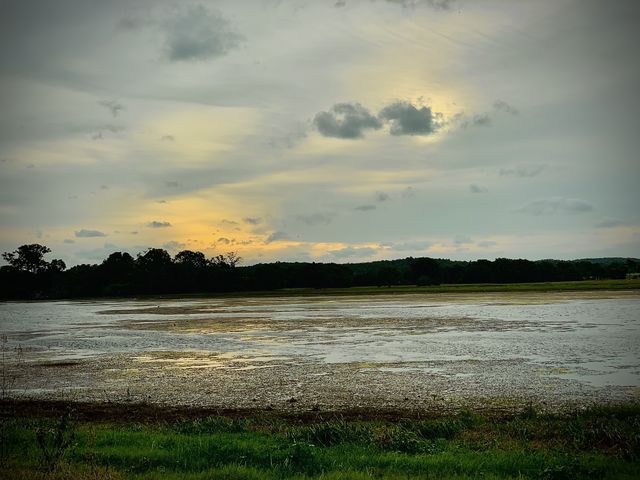 Evening 