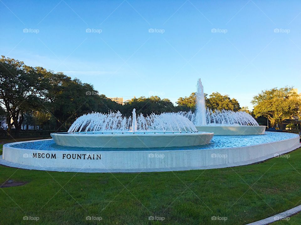 Water Fountain 