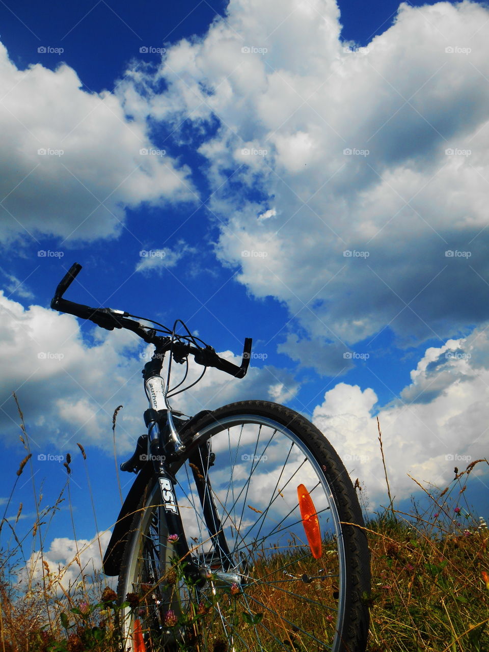 Wheel, No Person, Bike, Sky, Outdoors