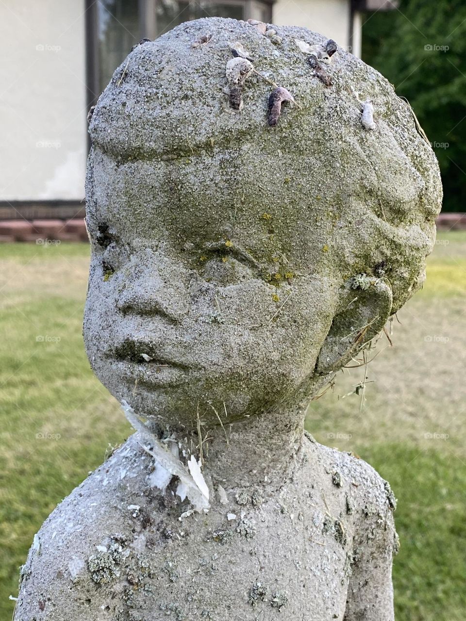 Stones In the garden 