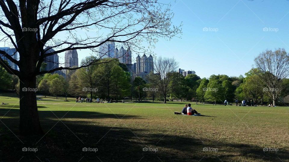 Tree, Golf, Landscape, Park, Grass