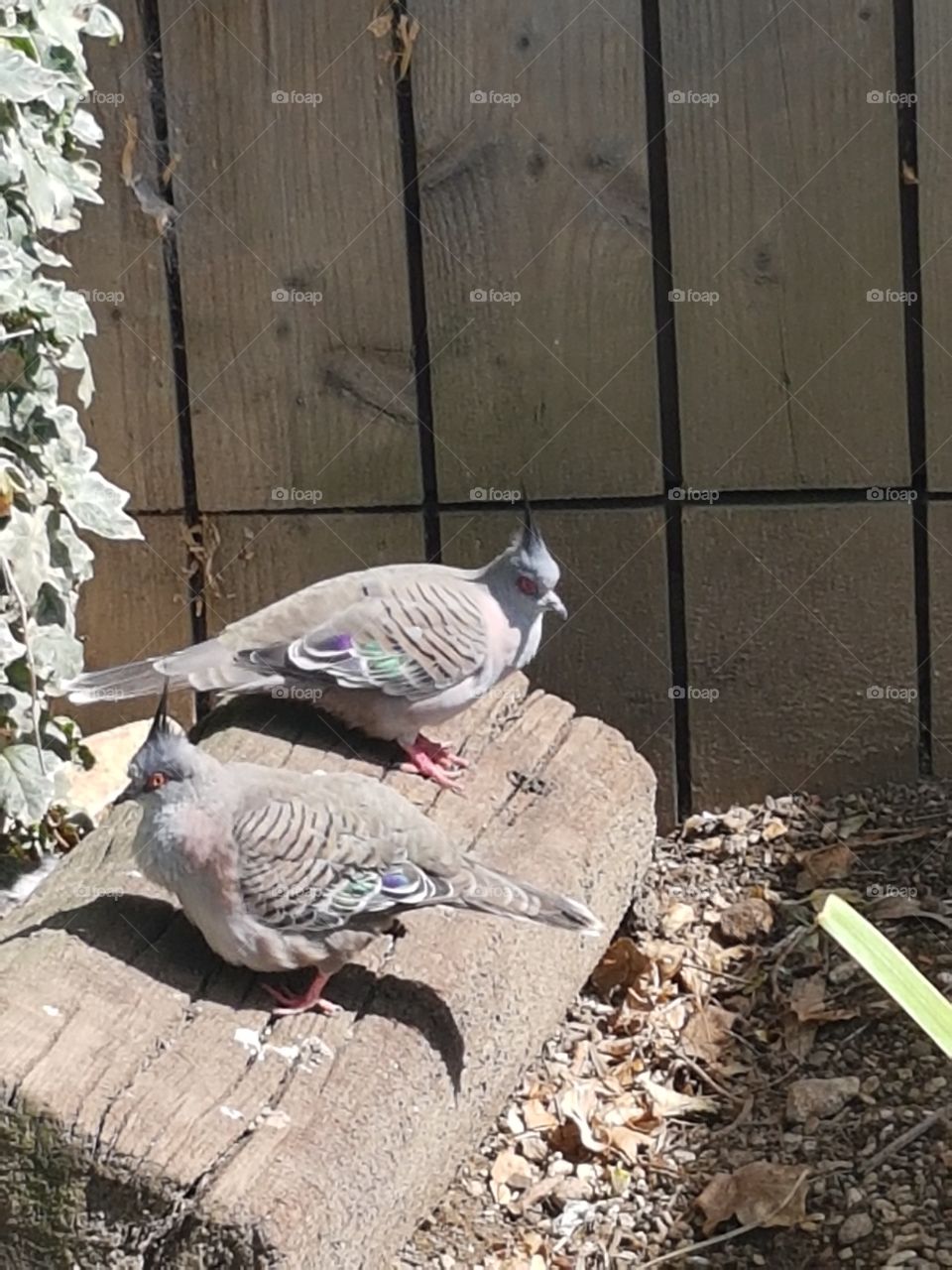 We are just random don't judge use!!