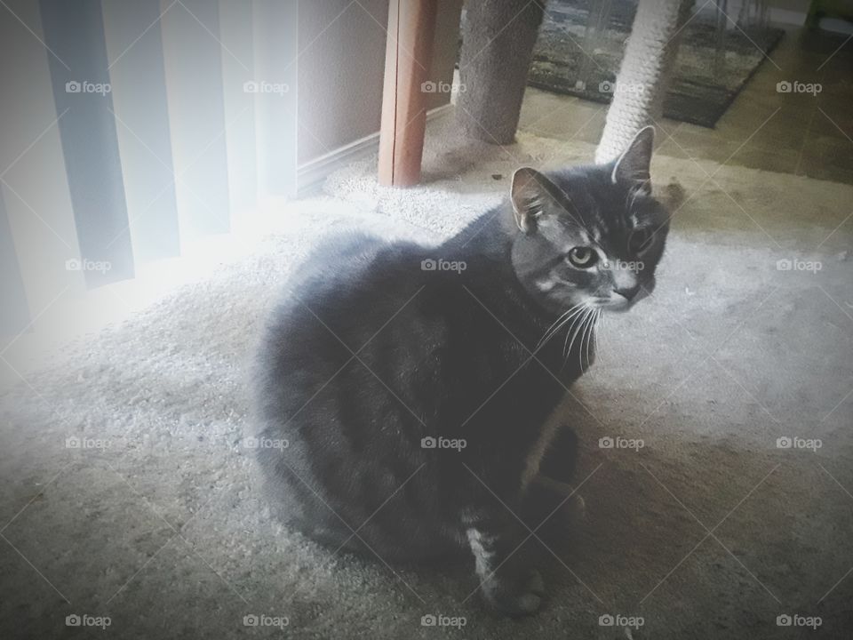 YOUR INTERRUPTING ME