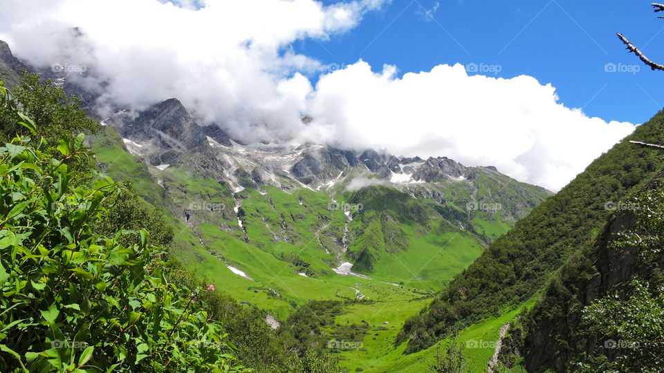 Valley of Flowers