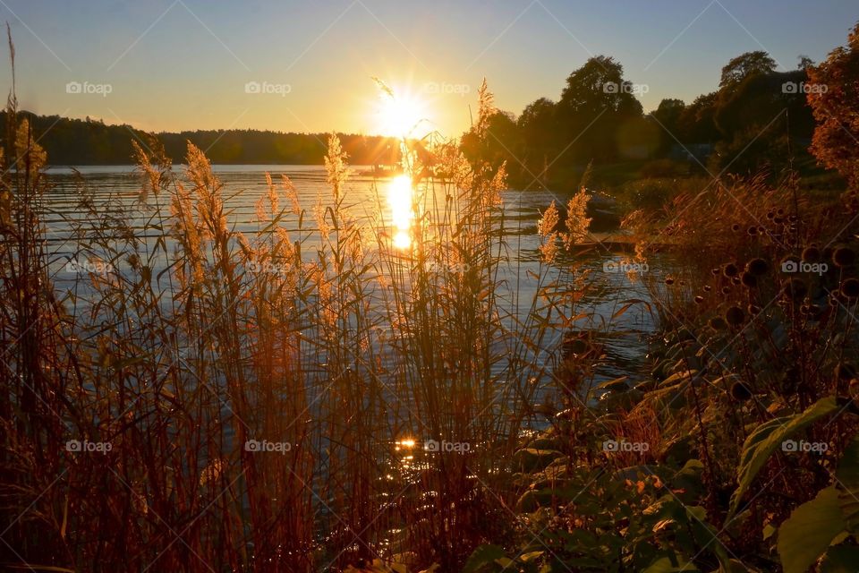 Sunset by the lake