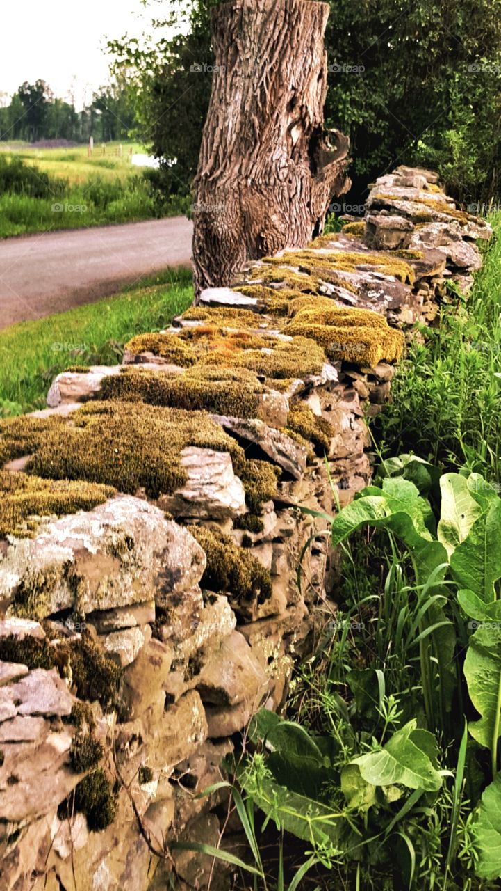 Mossy stone wall