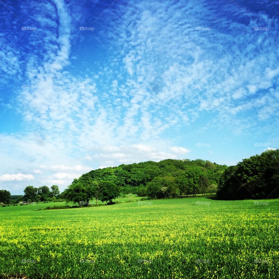 Blue Sky. Sunny Day