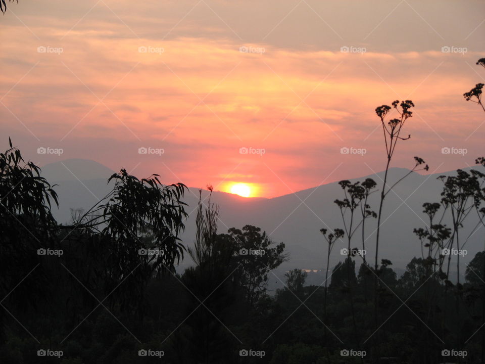 Mexican Sunset