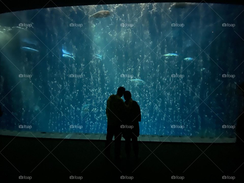 A couple takes in the beauty of the moment