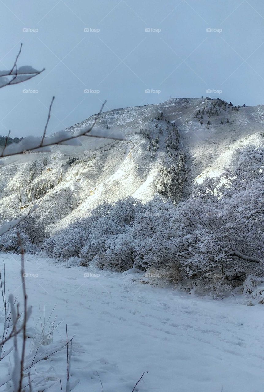Mountains covered by snow at winter