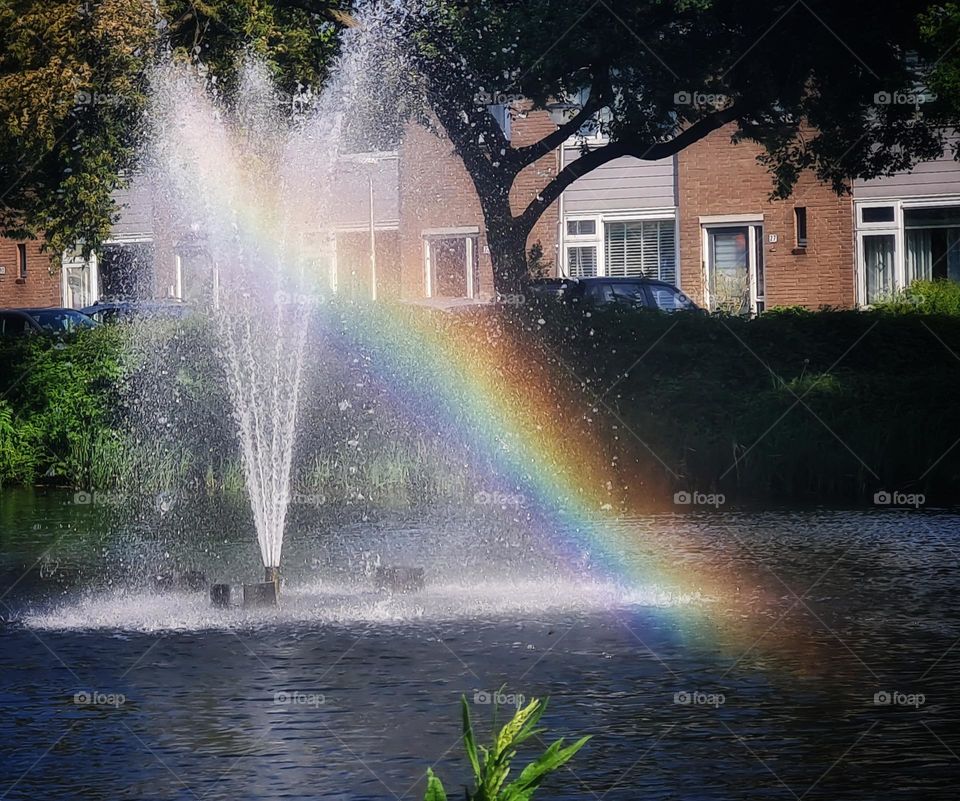 Miracle of water, sun and the wind🌈